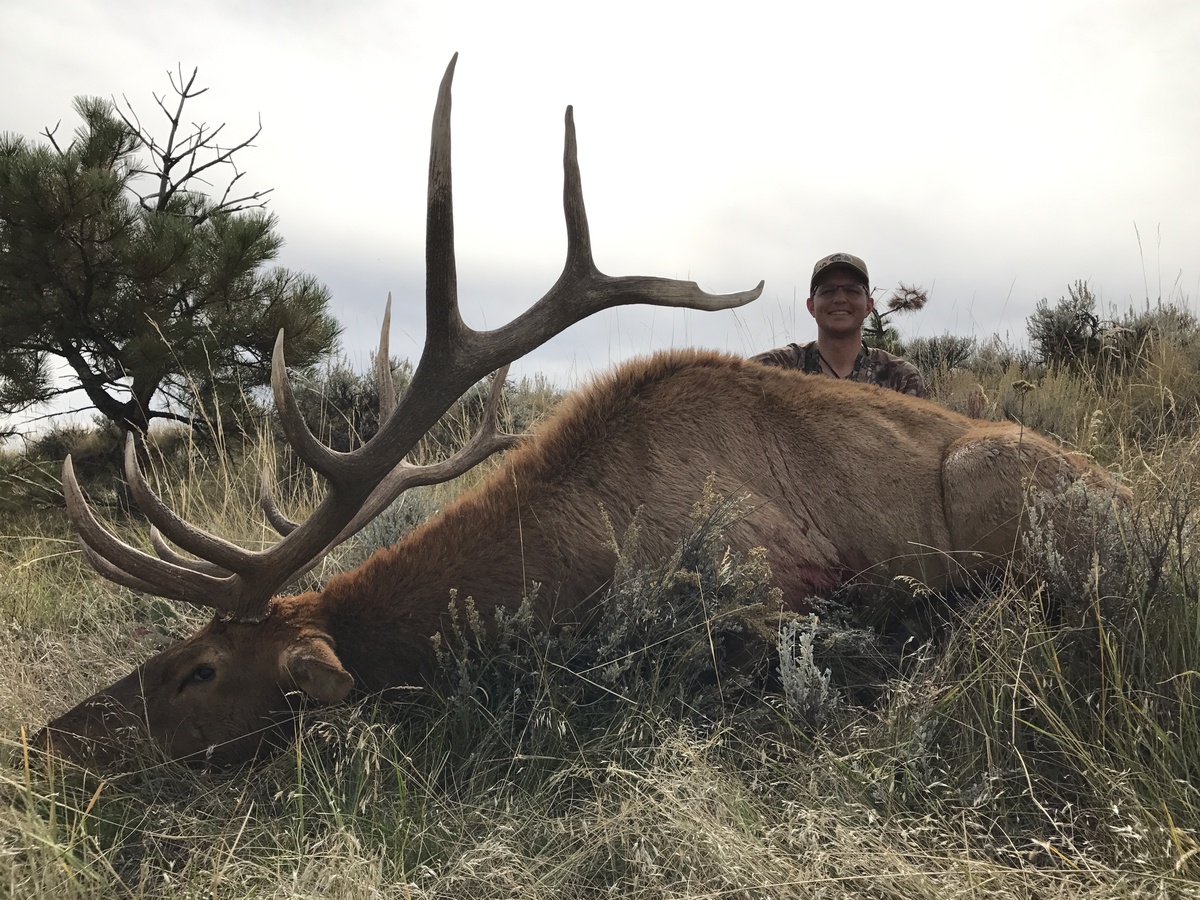 Wyoming Elk Hunting Area 113