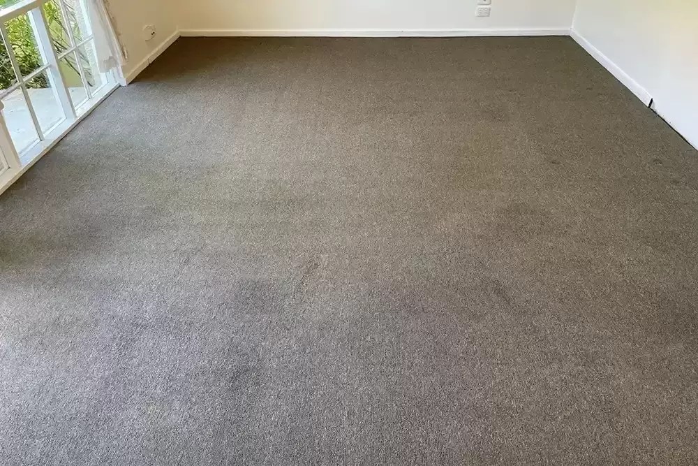 Hurds Carpet Cleaning Professional Carpet Cleaning in Hobart