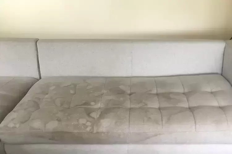 Hurds Carpet Cleaning Professional Upholstery Cleaning in Hobart