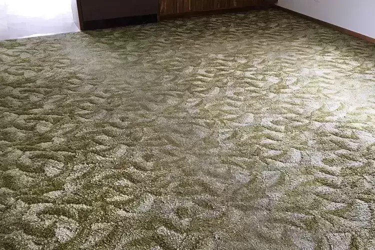 Hurds Carpet Cleaning Carpet, Floor & Upholstery Cleaning