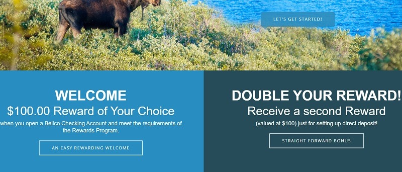 Awasome Bellco Credit Union Customer Service References