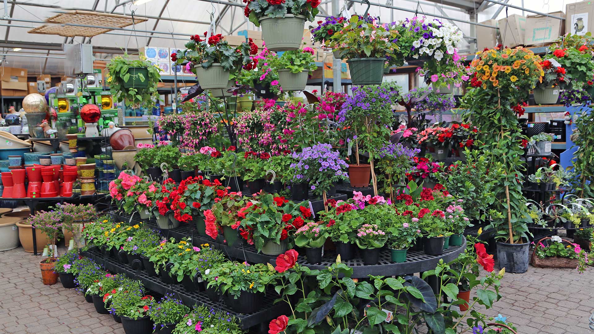 Gallery Hyannis Country Garden