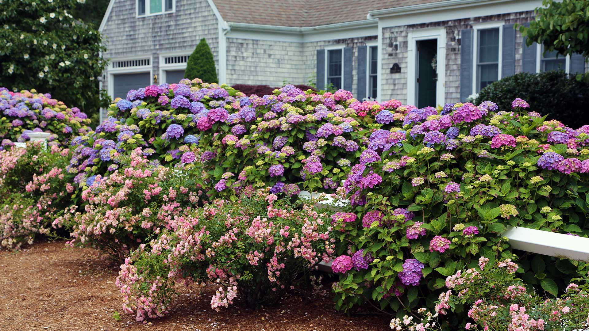 Gallery Hyannis Country Garden