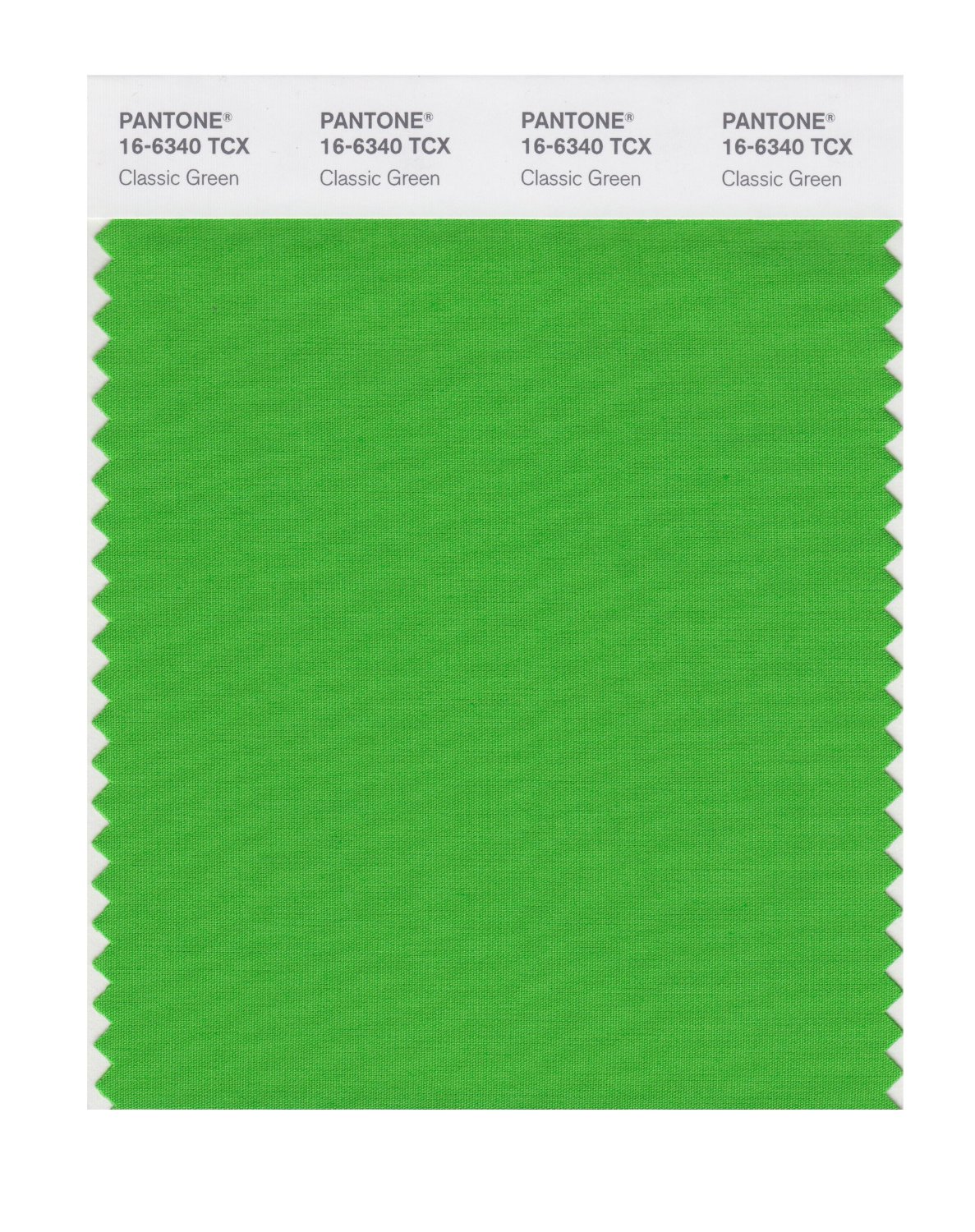 Pantone Classic Green Pantone Green Pantone Green Shades Pantone My