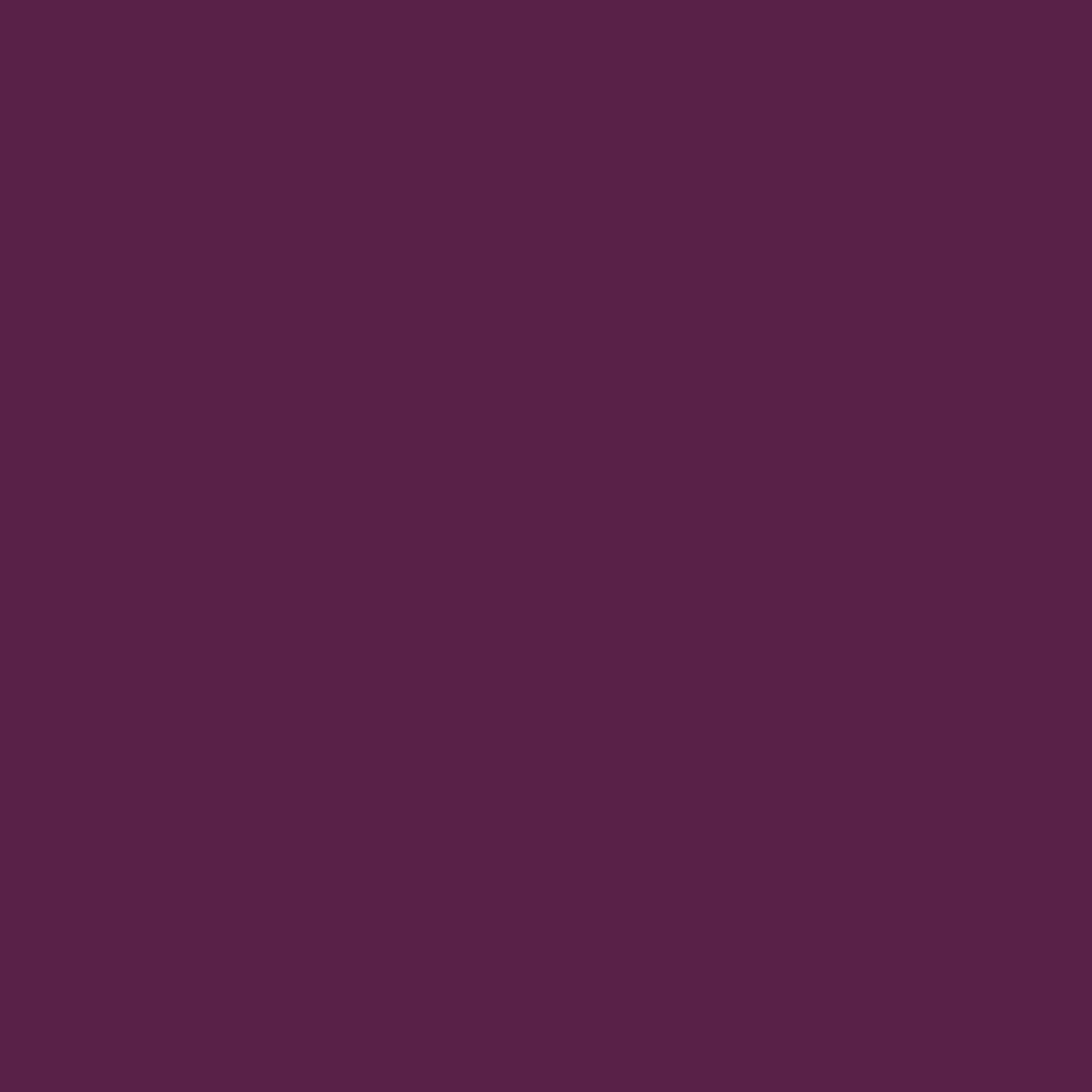 BUY Pantone TPG Sheet 192524 Dark Purple
