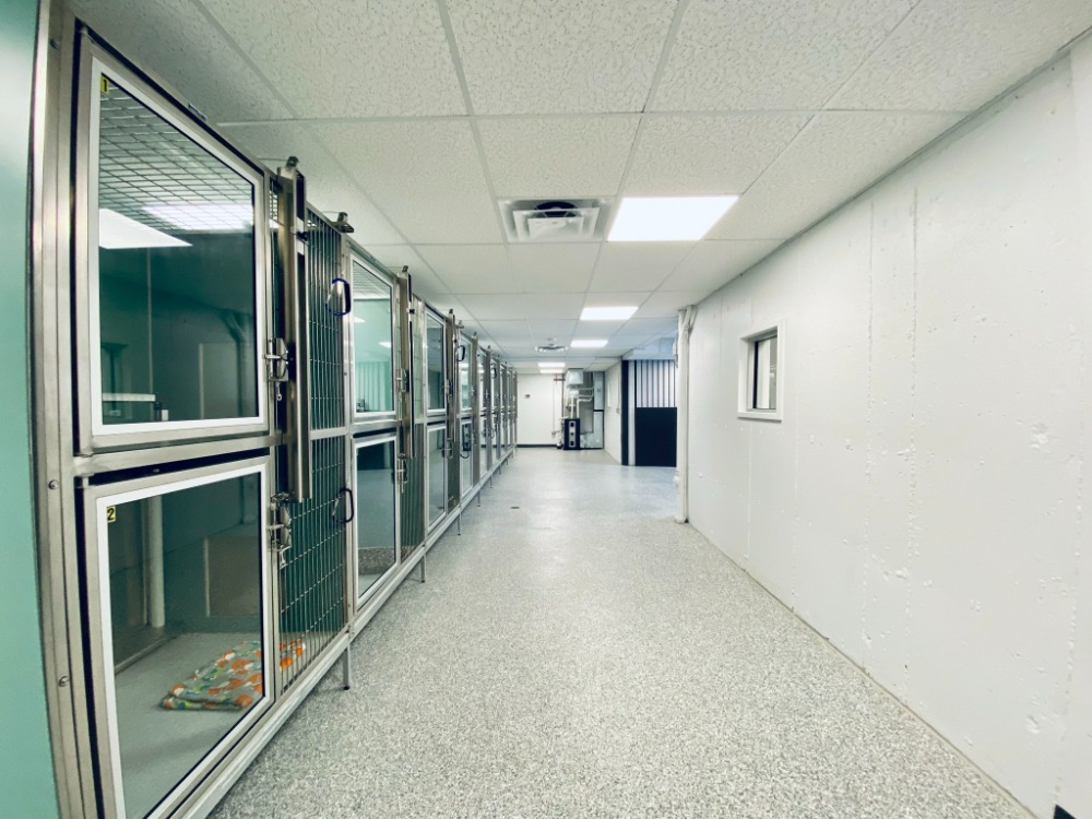 Parker Animal Hospital Renovation Hyder Construction