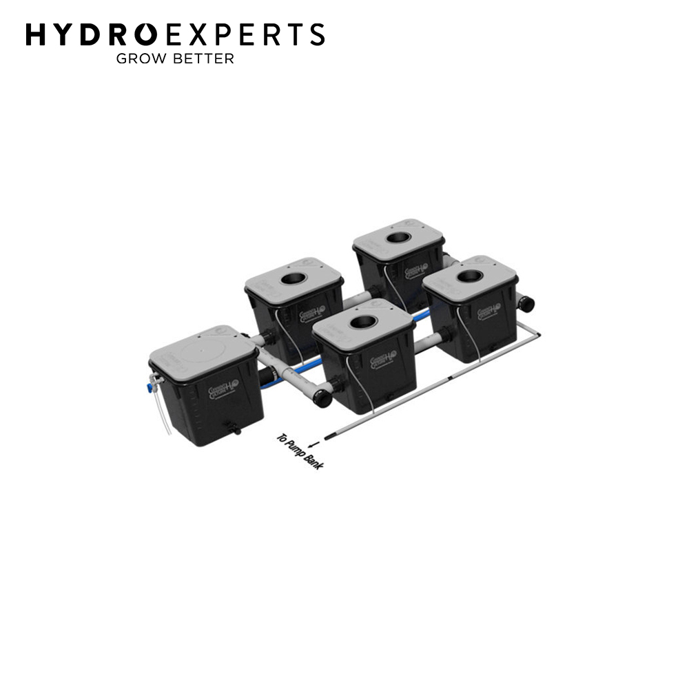 Current Culture H2O Under Current UC4XL DWC System Hydro Experts