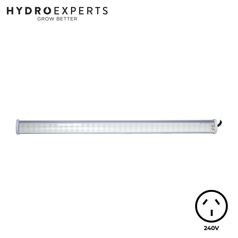 IntroGro LED Bloom Bars [Wattage 26W] 2400K Hydro Experts