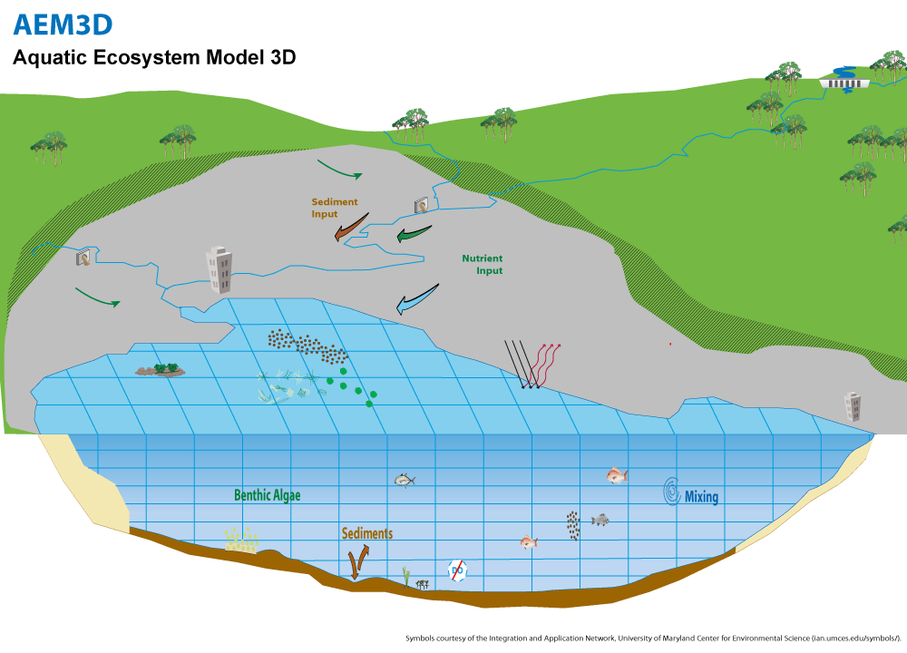 HN Aquatic Ecosystem Model 3D
