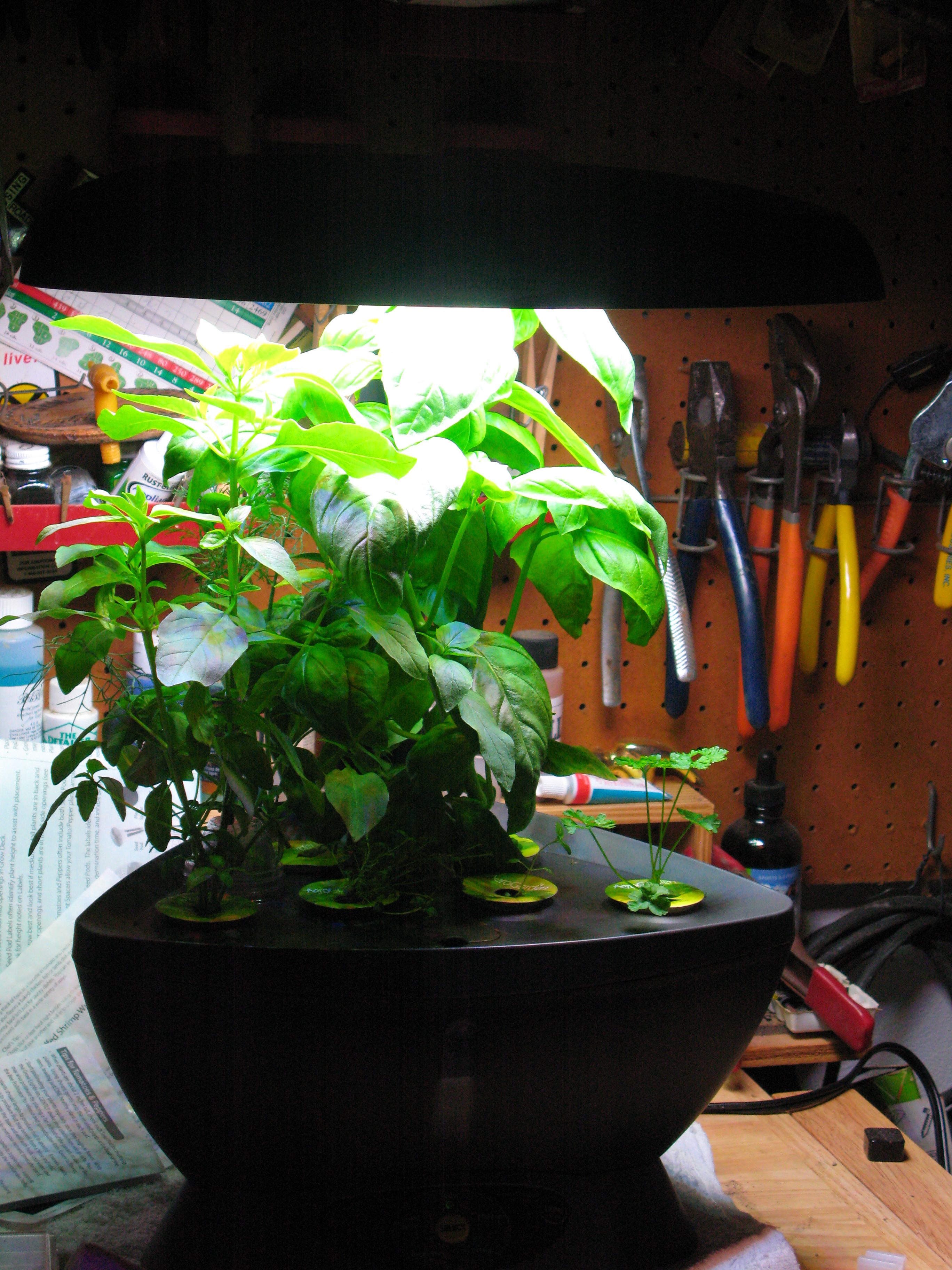 Aerogarden 005 DIY Organic Gardening