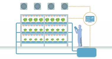 Commercial Hydroponic for sale,design,production,installation,training