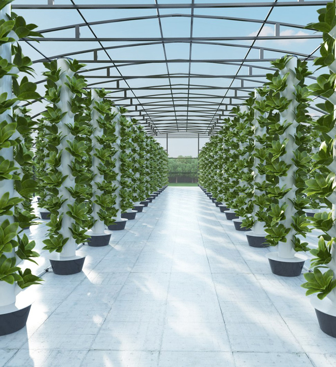 Commercial Hydroponic for sale,design,production,installation,training