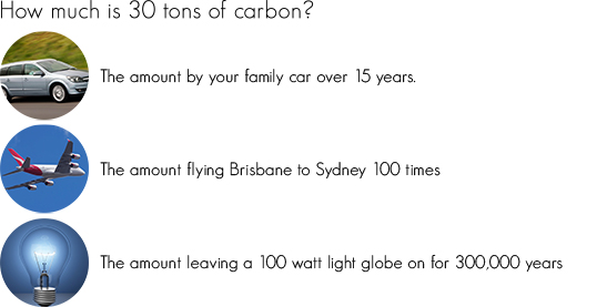 How can installing a heat pump reduce your carbon footprint? Heat
