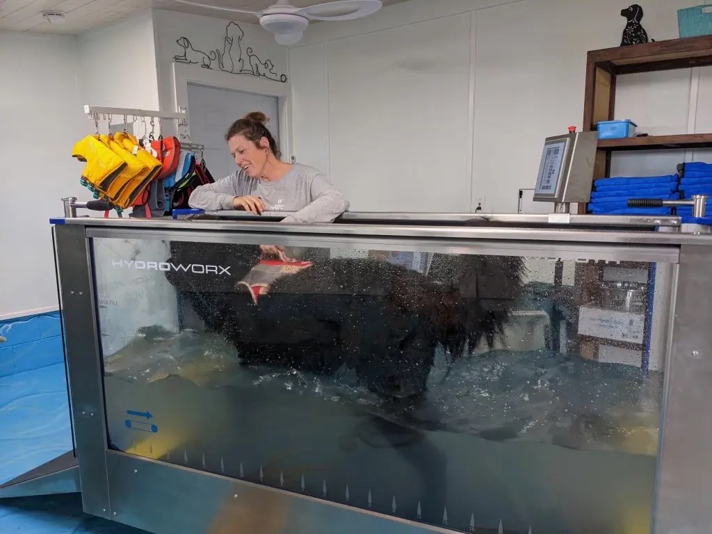 HydroWorx K900 Canine Hydrotherapy Treadmill For Vets