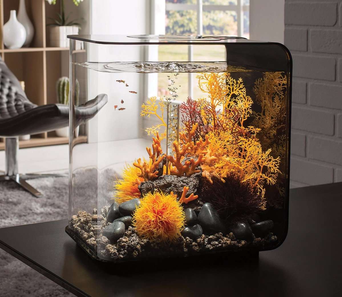 How to Clean Fish Tank Rocks and Substrates Hygger