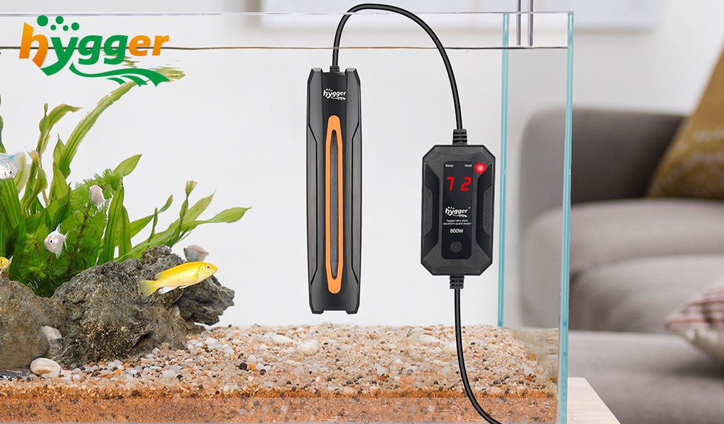 Aquarium Heating Basics Part Two hygger