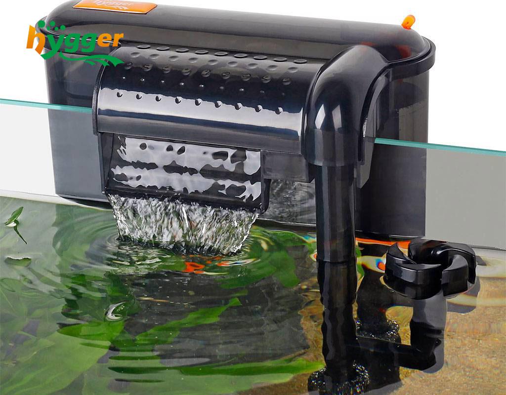 How Often to Change Fish Tank Filter hygger