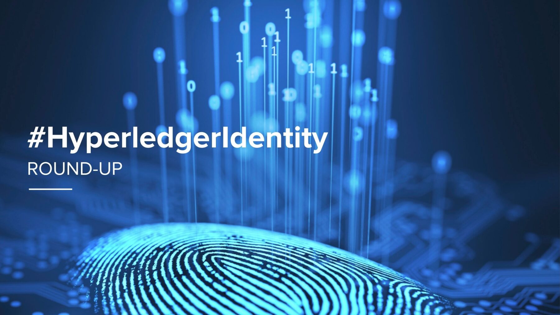 HyperledgerIdentity roundup A cross section of production digital