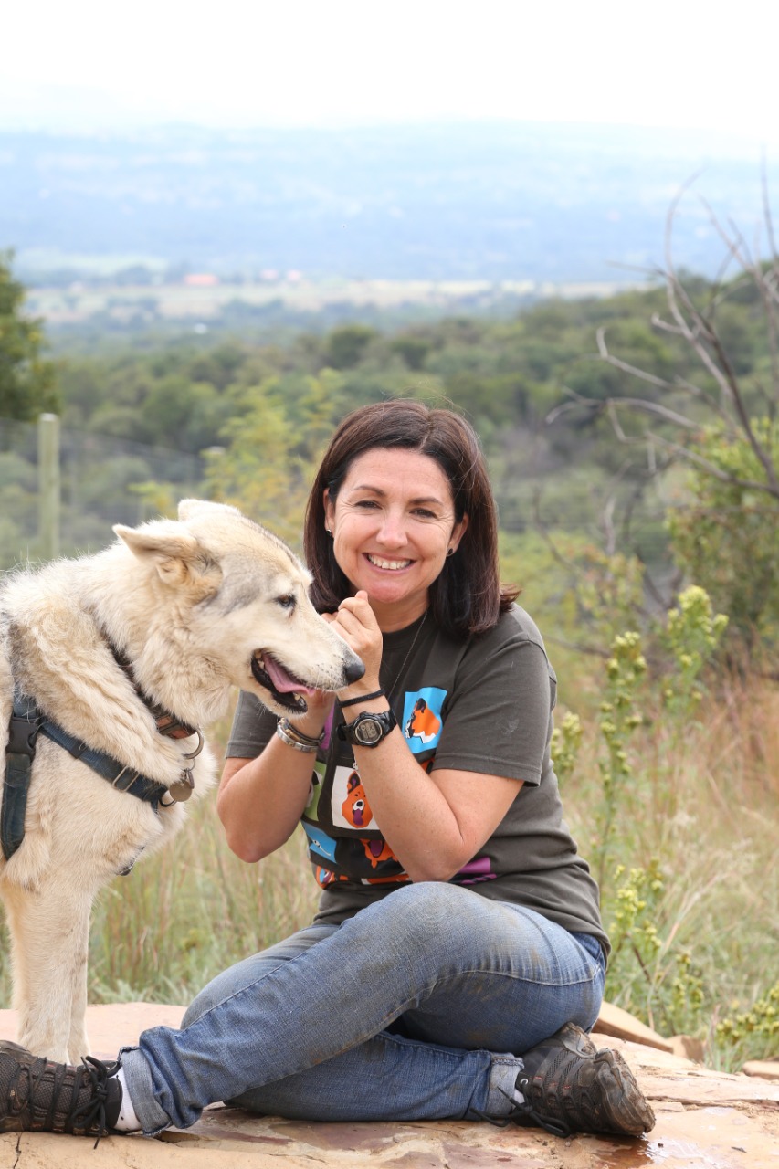 SEVEN REASONS WHY ITS IMPORTANT TO SUPPORT ANIMAL CHARITIES Hypress Live