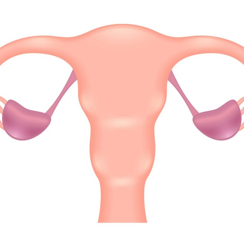 Salpingectomy (Removal of the Fallopian Tubes) 101 Hysterectomy