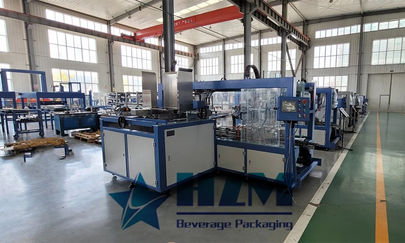 Automatic Drop Type Carton Packing Machine HZM Machinery
