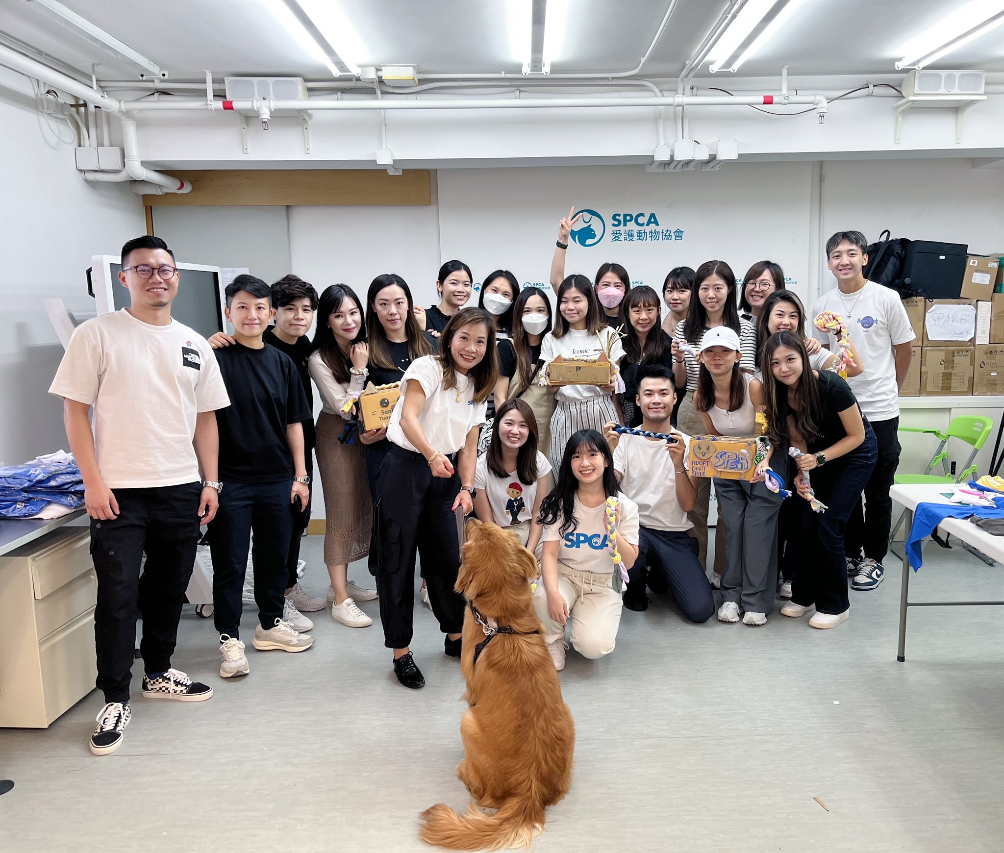 Volunteering at SPCA Hong Kong iClick Interactive