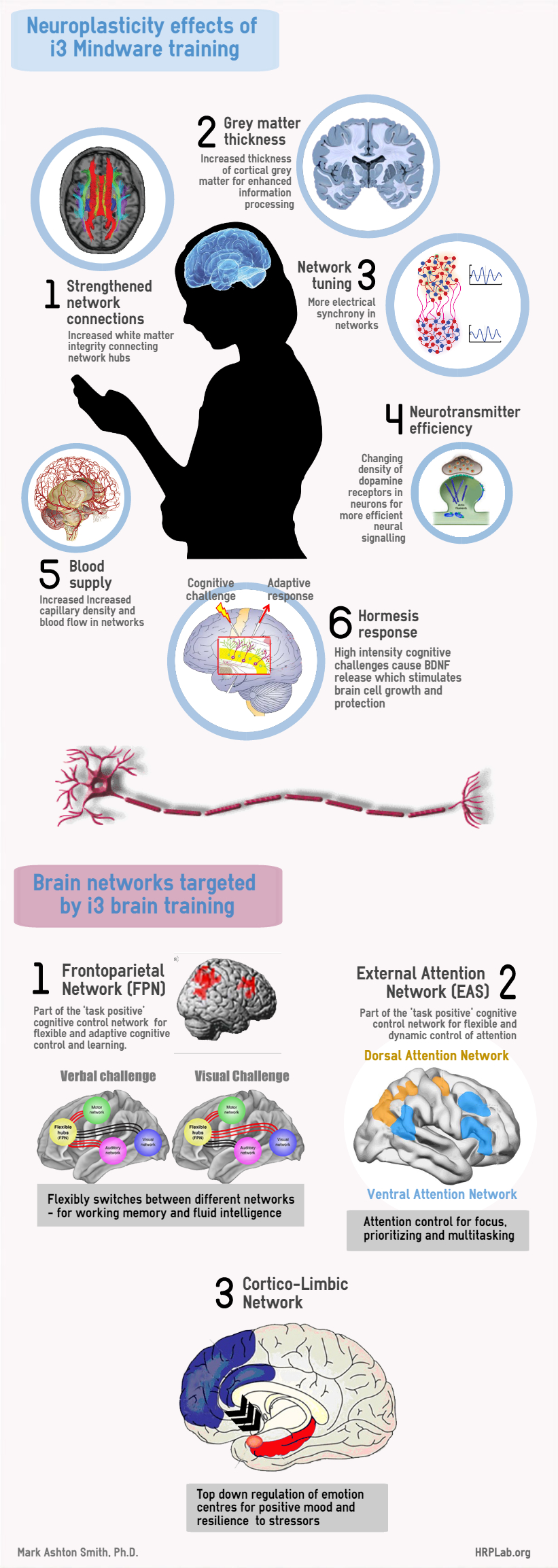 What Is Mensa And What Is A Mensa IQ?