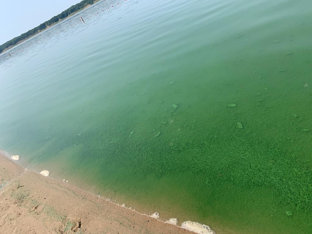 Adding up the 2020 Beach Season Iowa Environmental Council