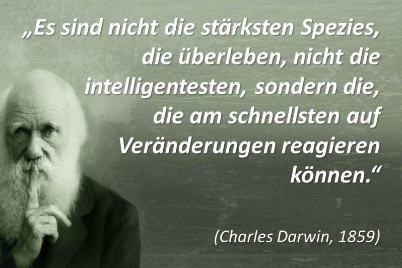 Netzwerk für KfzUnternehmer und die freie Werkstatt Die