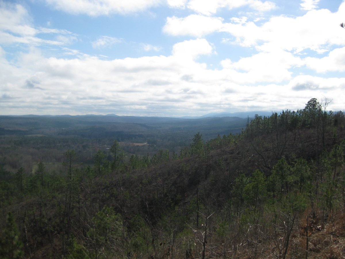 Cheaha Mountain (AL)