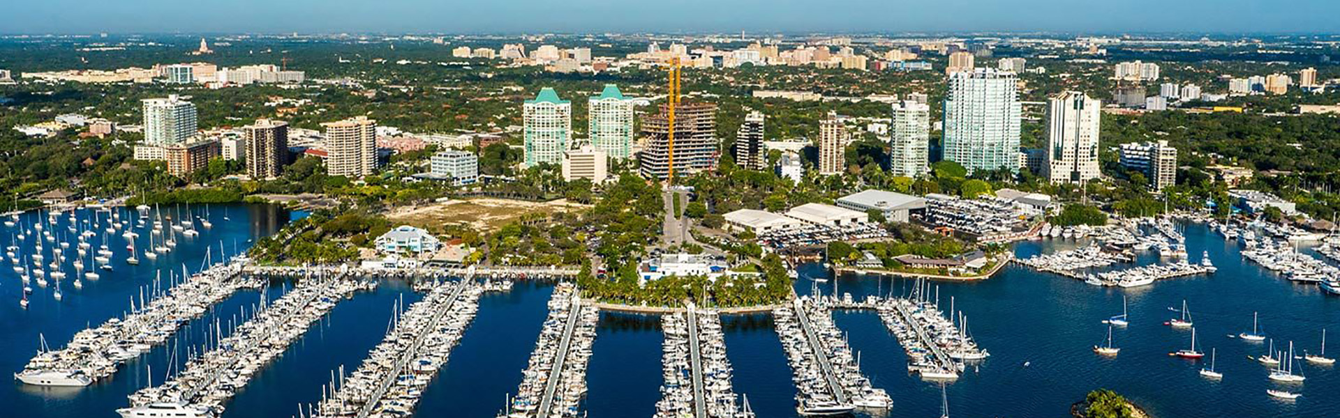 Coconut Grove Ian Gazes