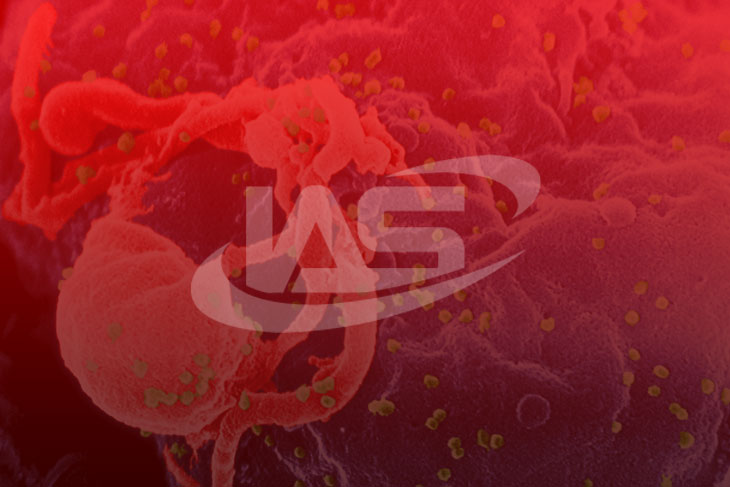 HIV – a simple explanation of the virus and tests that are done to determine the infection