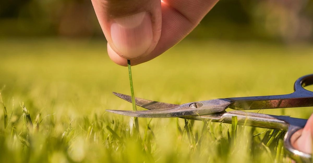 Plants warn each other of danger,and now we can watch them IAS EXAM