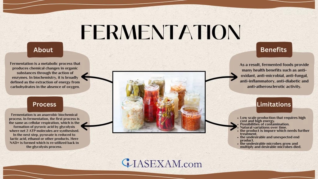Fermentation - IAS EXAM