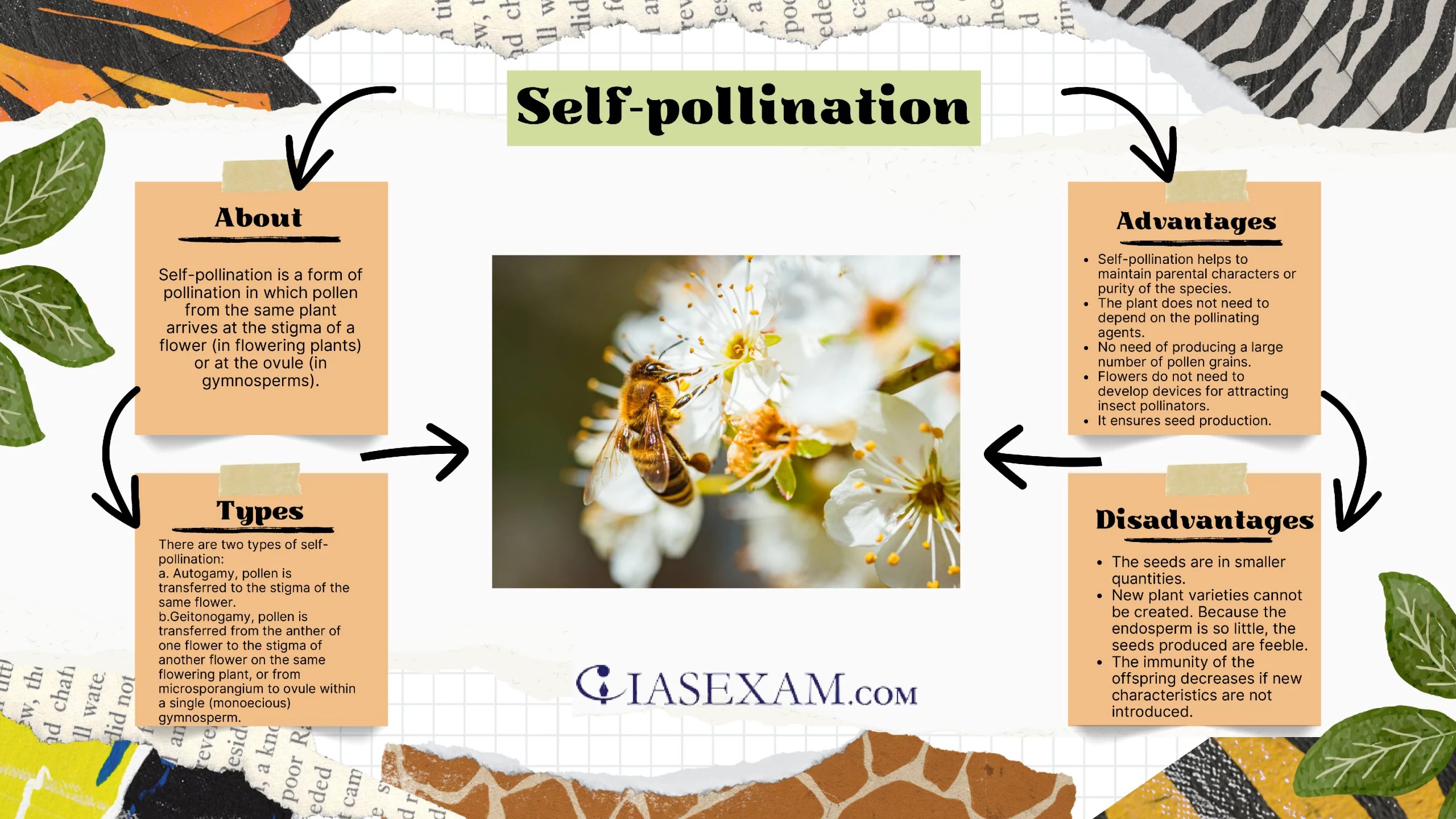 Selfpollination IAS EXAM