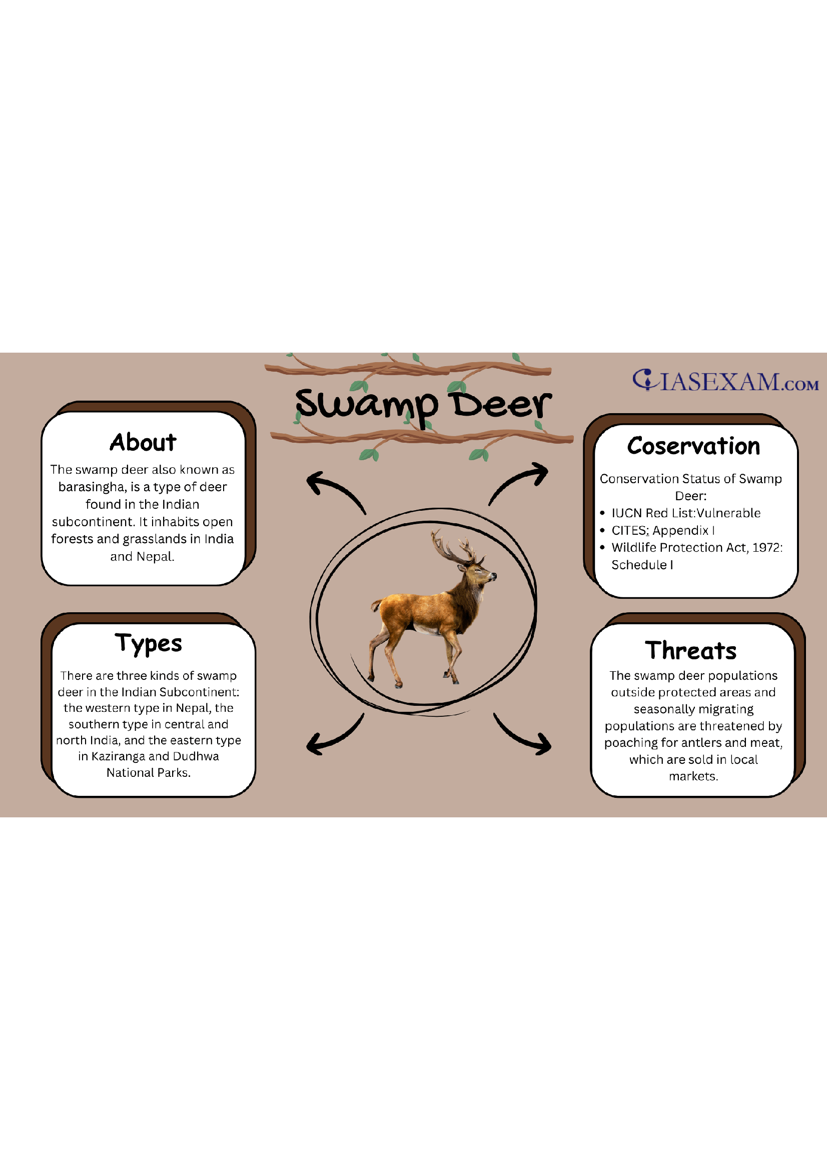Swamp Deer IAS EXAM