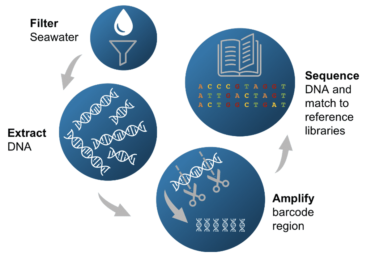 eDNA water sampling Ocean Health Research iAtlantic