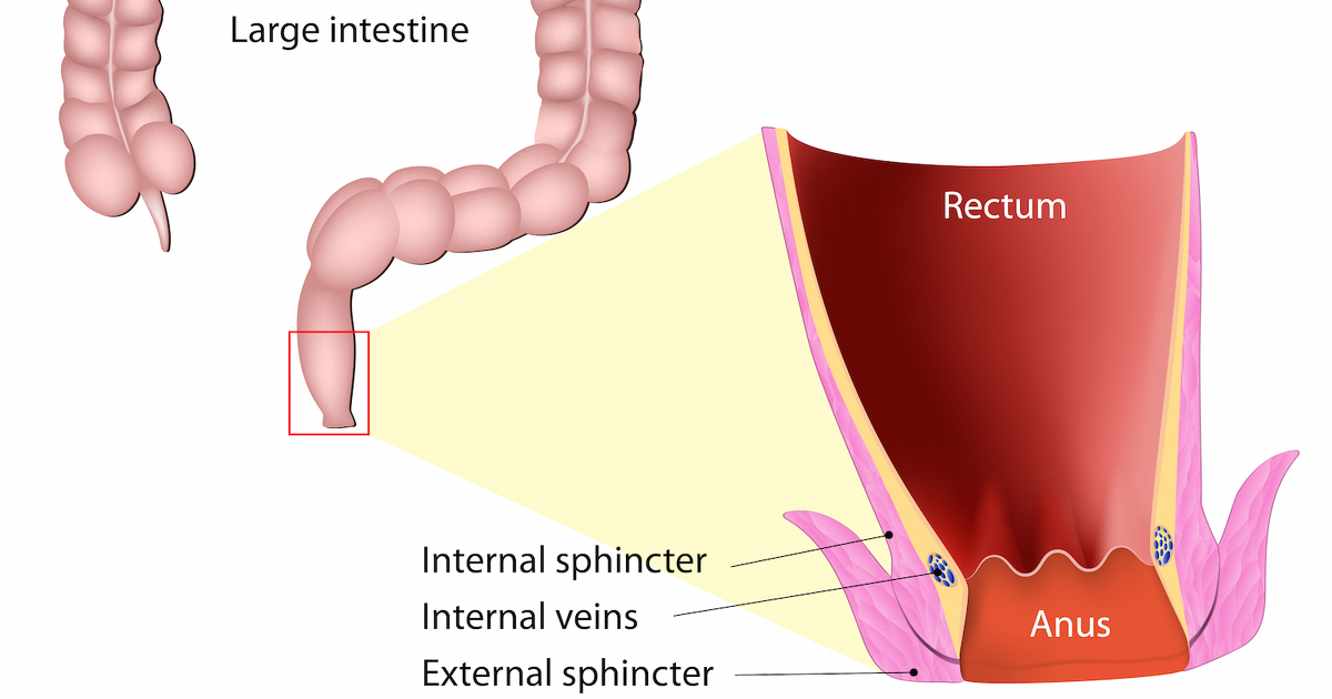 Digital rectal examination Introduction