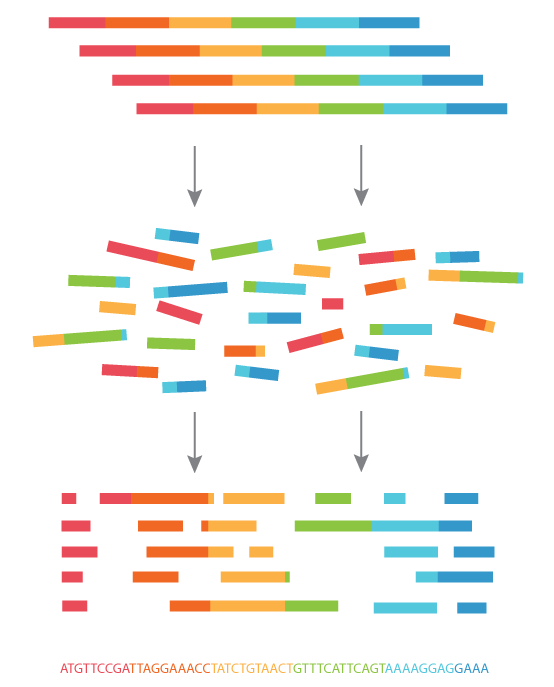 Next Generation Sequencing Machine