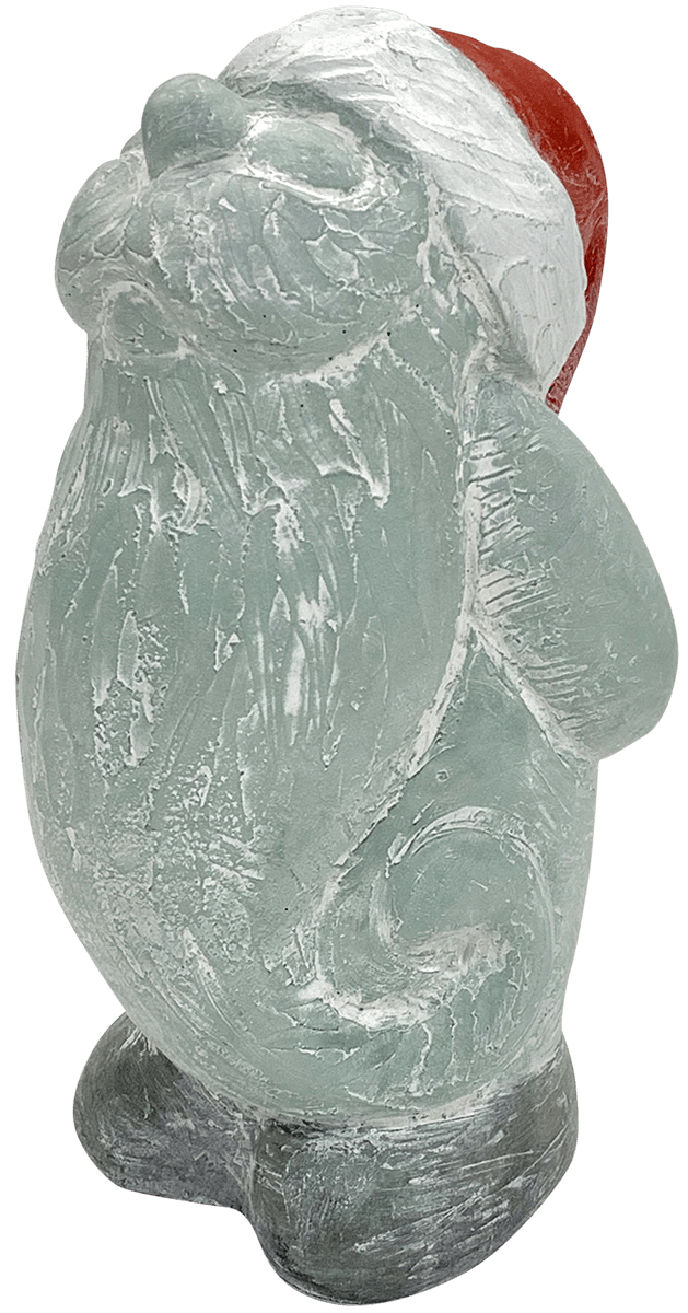 Seasonal Isabel Bloom