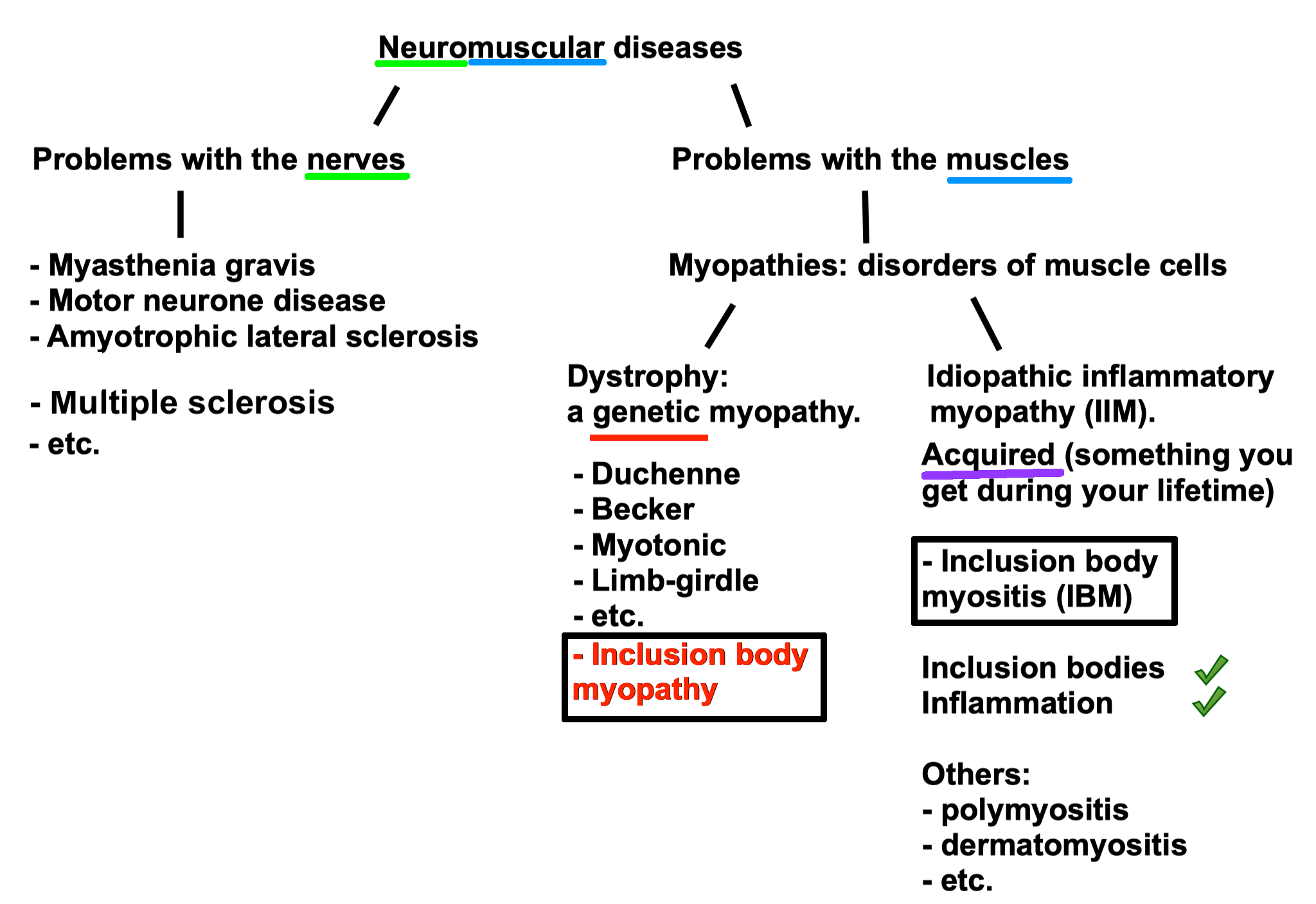 Classification of IBM.