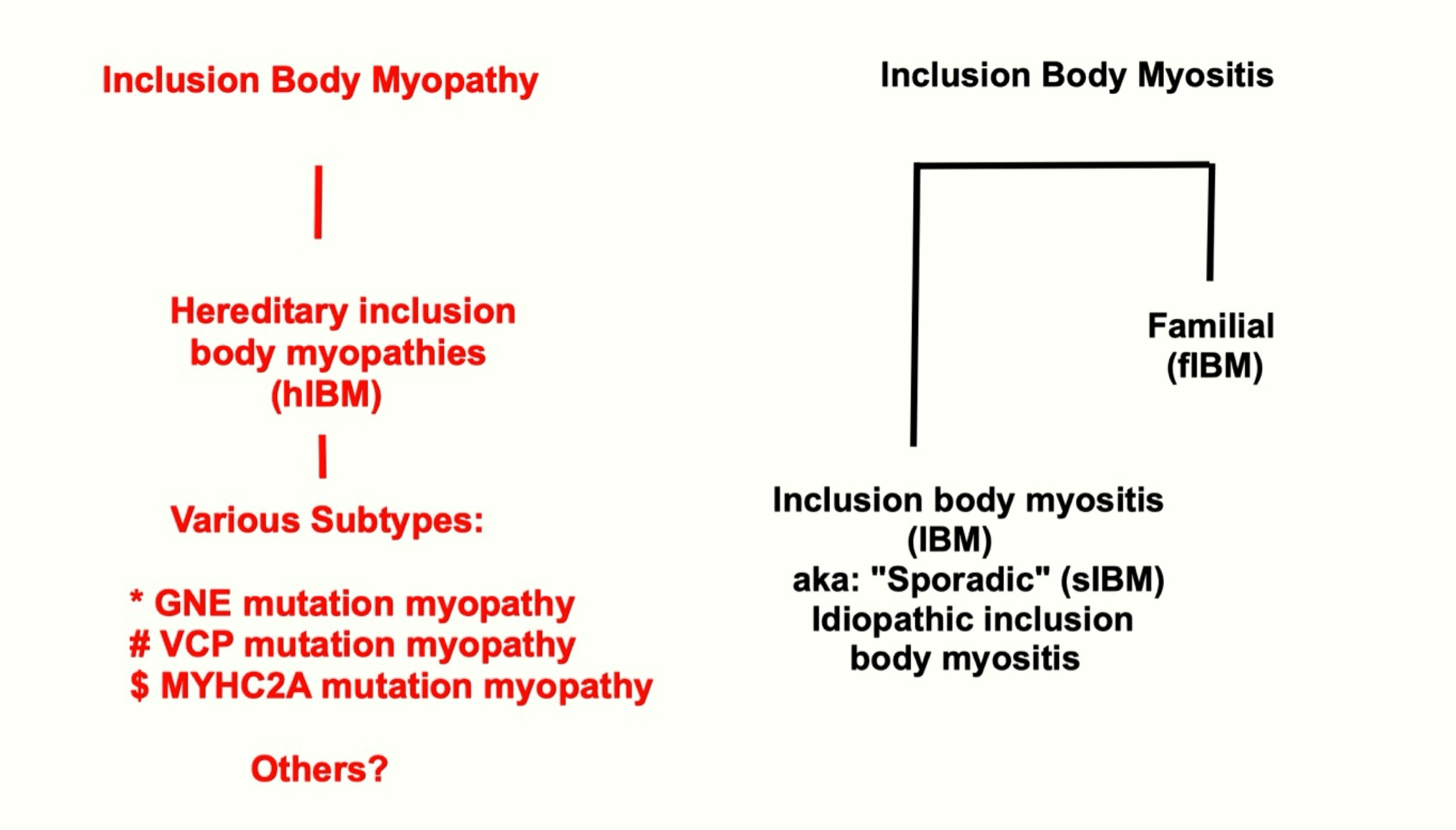 Inclusion Body Myositis.