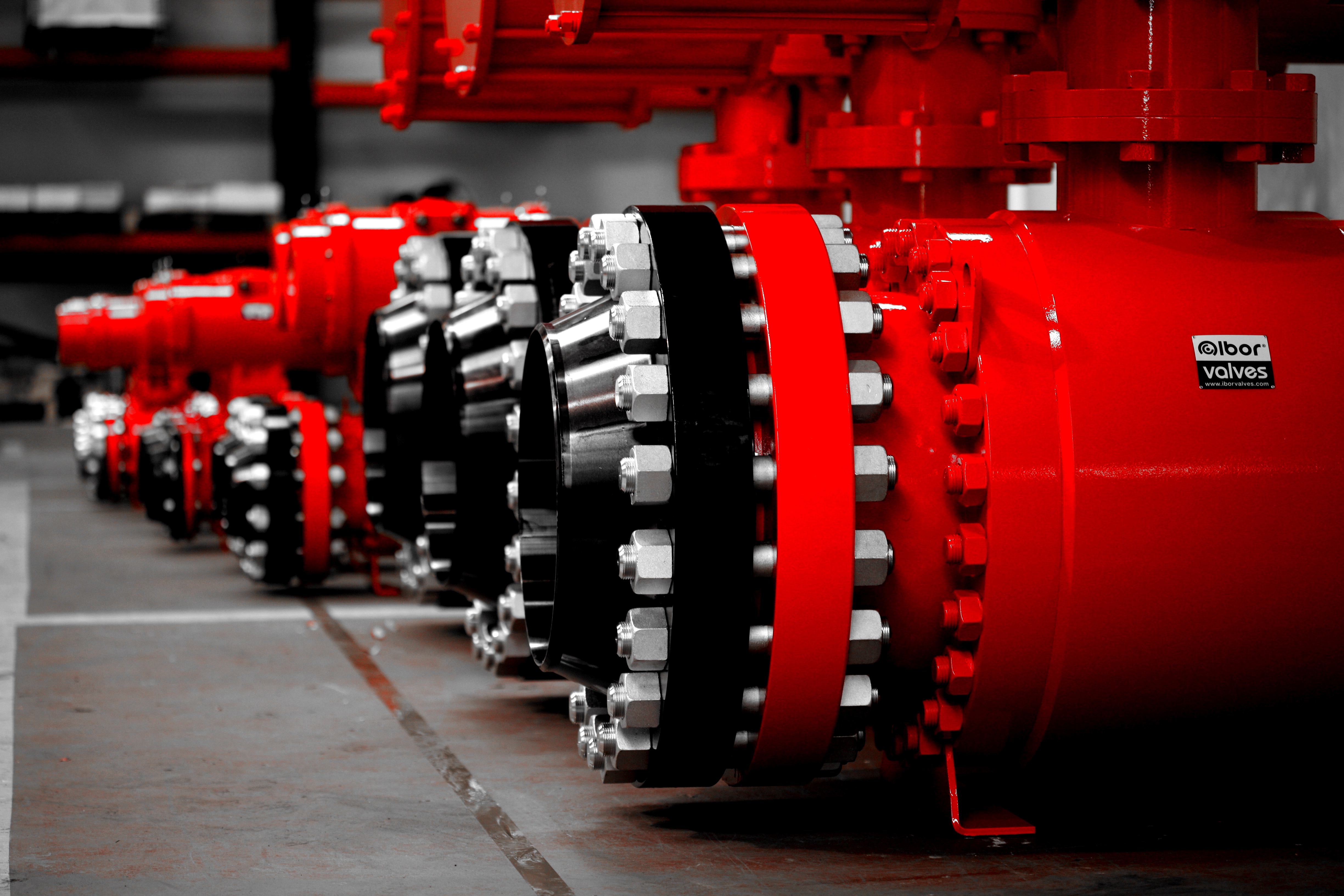 Trunnion Ibor valves