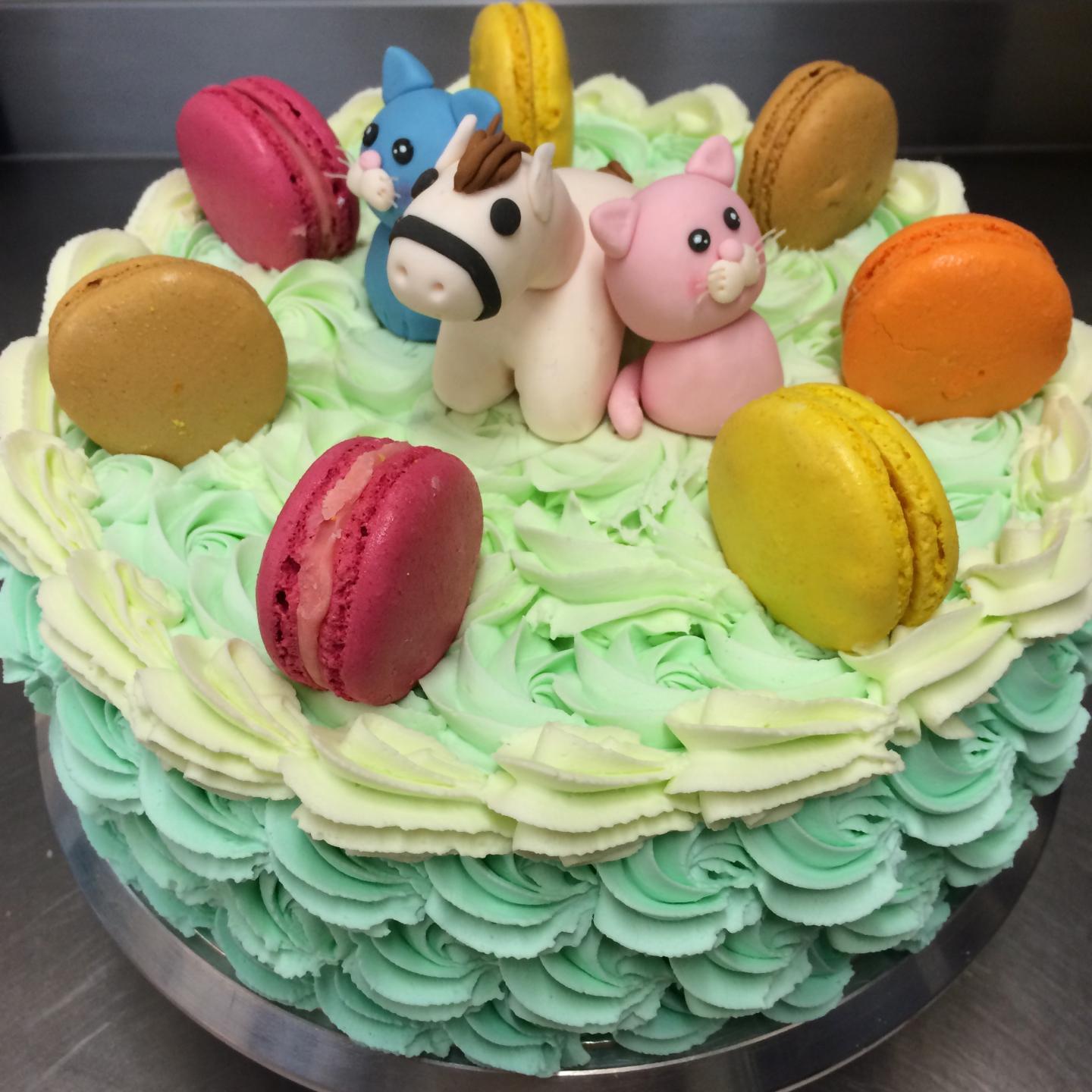 Animal Macaroon Fondant Cake iCake Custom Birthday Cakes Shop Melbourne