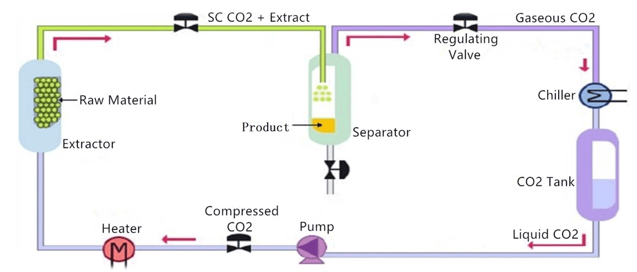 Supercritical Co2 Extraction