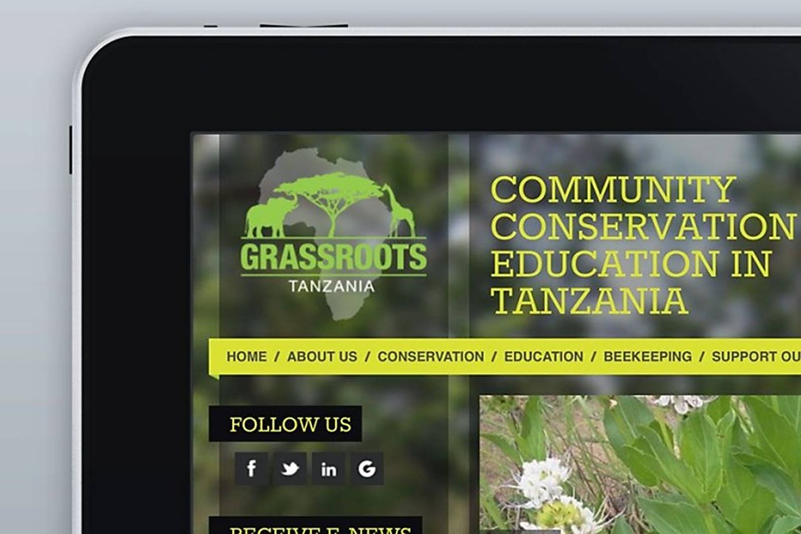 corner of computer screen with grassroots logo