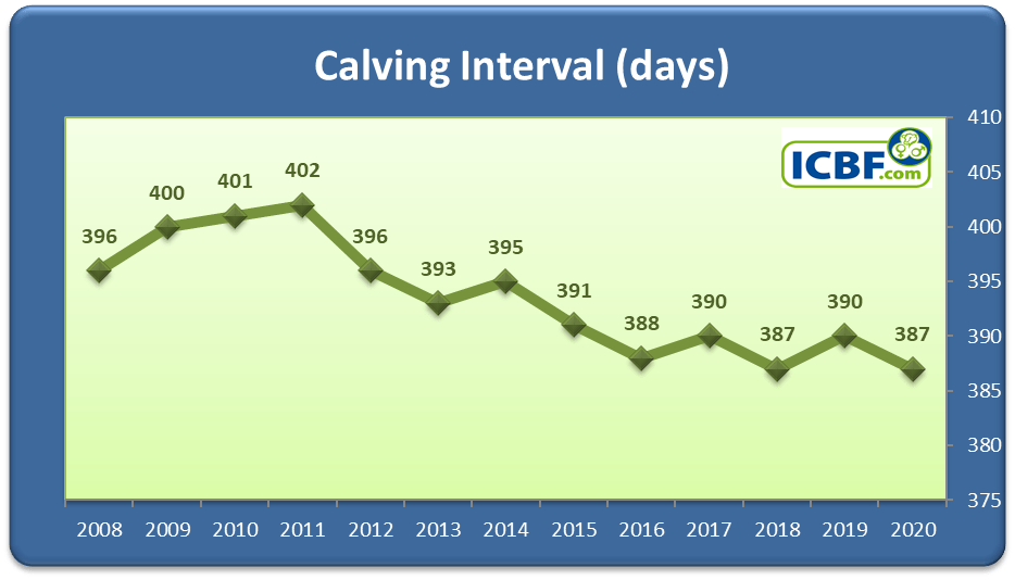 Dairy Calving Statistics 2020 ICBF