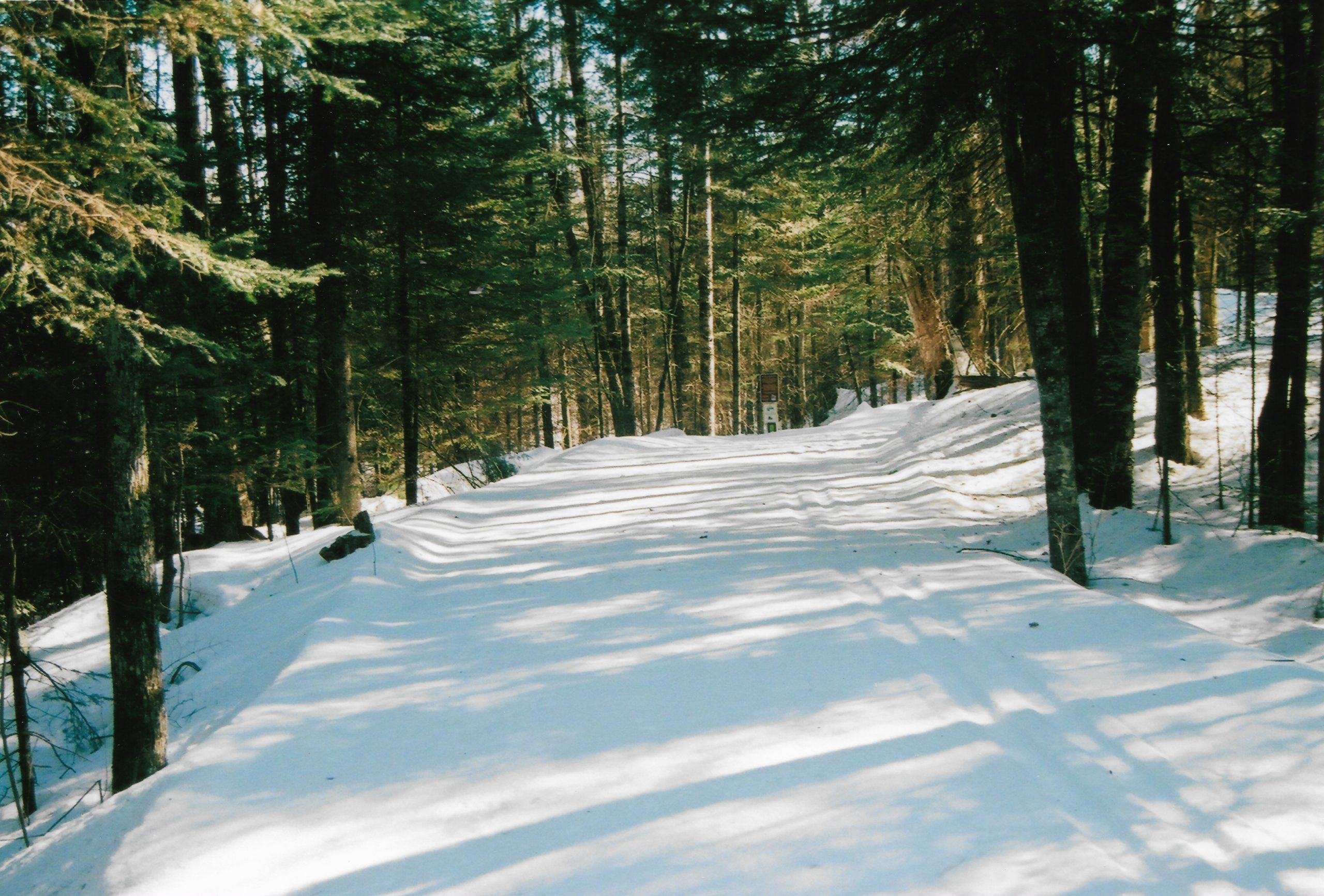 Groomed Ski Trails on Rusch Preserve. Photo courtesy of Cindy Sommer