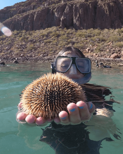 Ice Age Trail Crew Polk County Maintenance Sweep Ice Age Trail Alliance