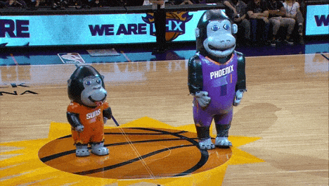 Professional Basketball Gif Icegif